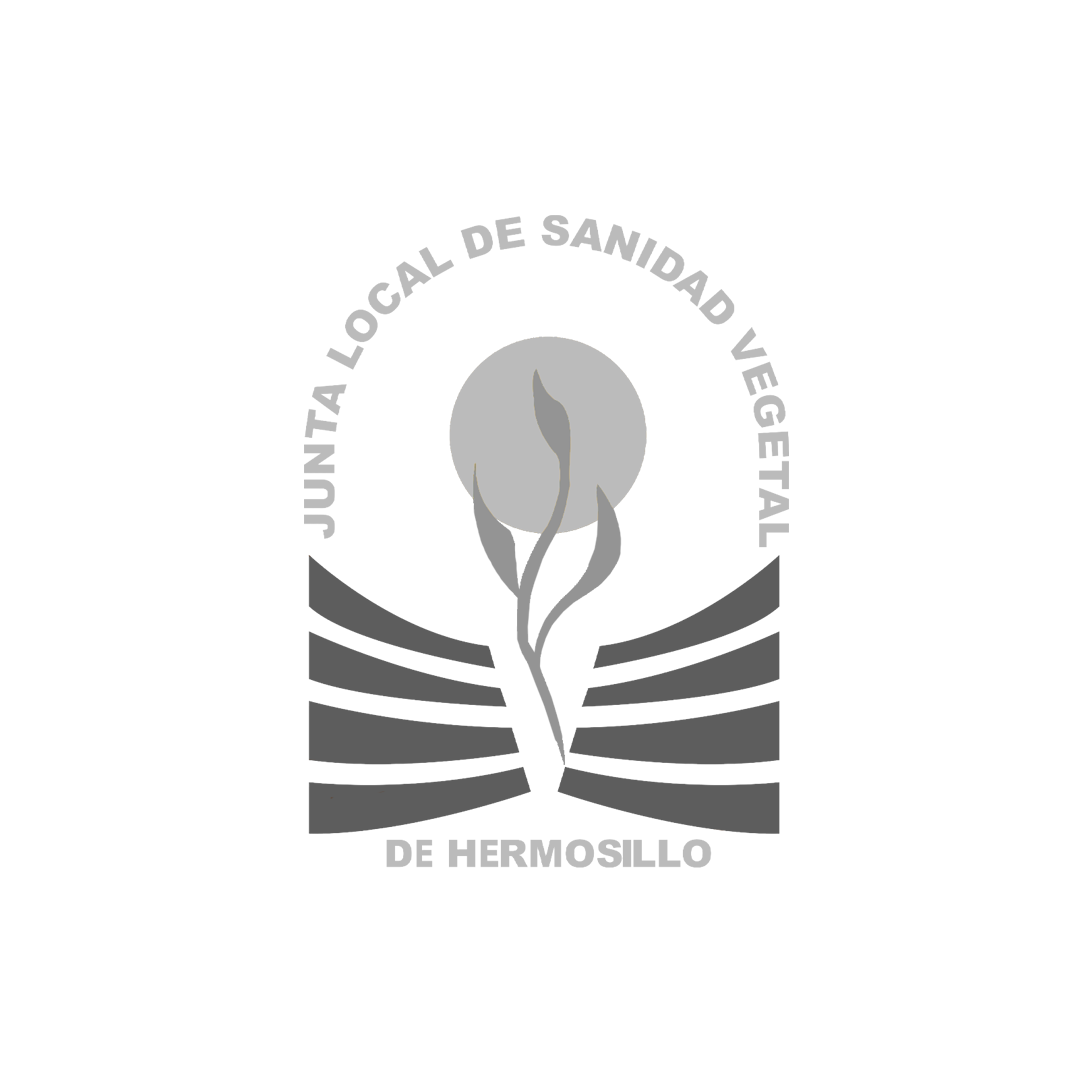 Logo 6